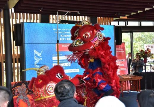 DSC 1055