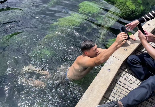 10393edfaa4ee5de2383faff8d335306