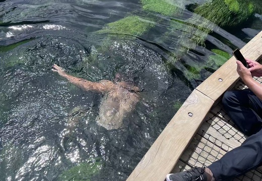 6427dbd48b6fe327463e37f2aba5c354