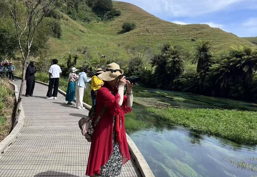 ad008c43e7a690fa108166f7fa05a3c0