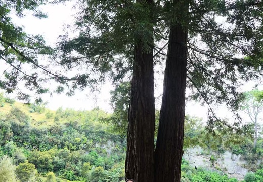 b3dcd4fd273005ead6fe1568cbb42e30