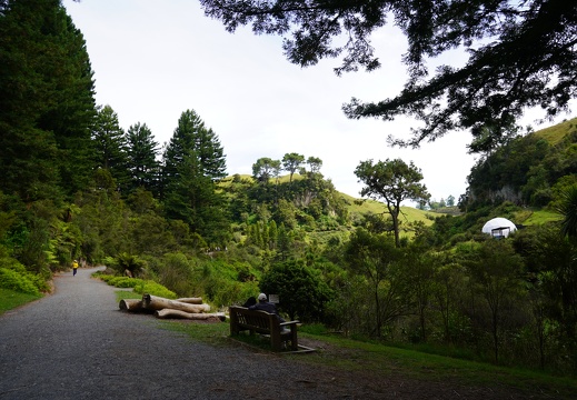 奥克兰 Botany 华人协会蓝泉一日游  2026 年 1 月 17 日